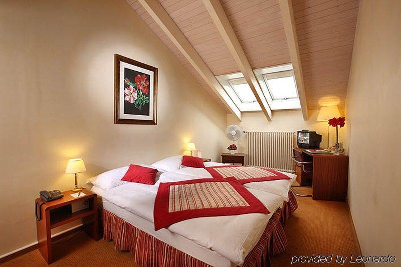 Hotel De La Couronne Morges Pokoj fotografie